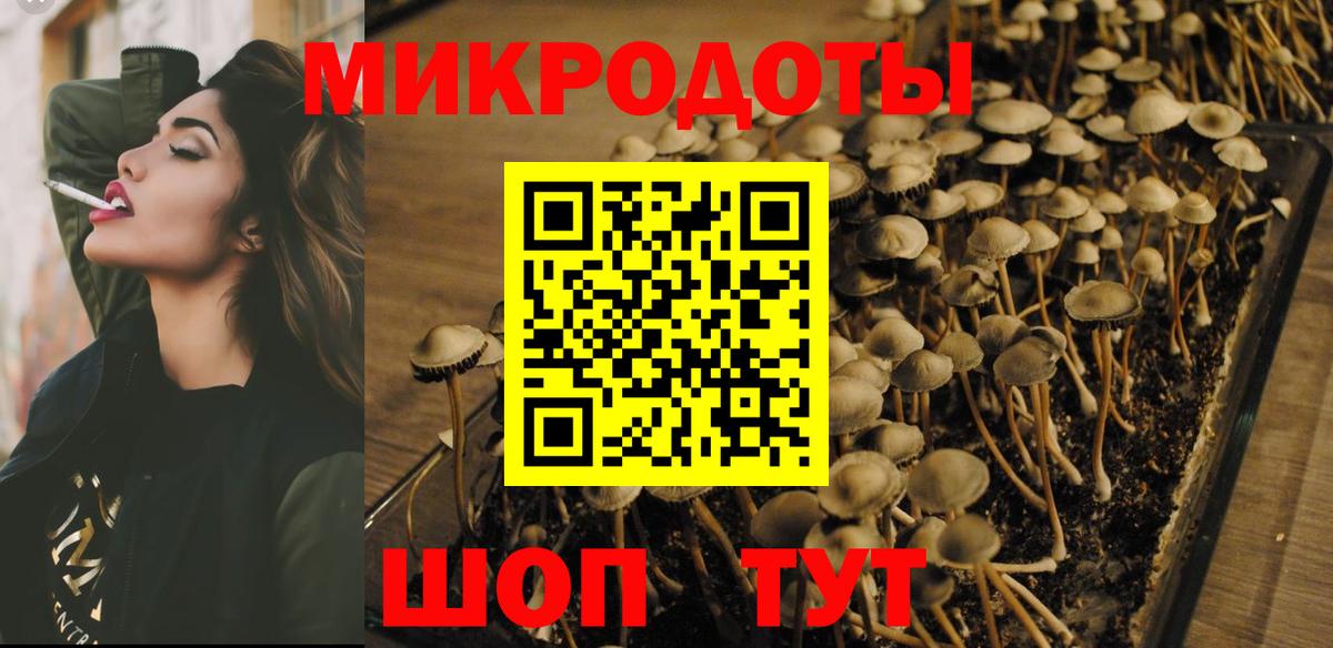 Галлюциногенные грибы прущие грибы  Вход с VPN  Карталы 