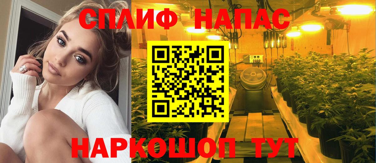 Каннабис OG Kush Карталы